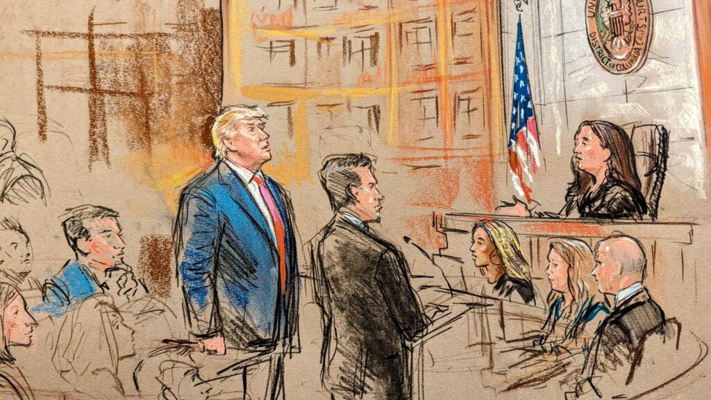 First courtroom sketch released - National Zero